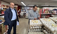 رشد 41 درصدی بازرسی ها در استان زنجان در سال 1404